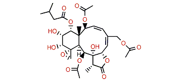 Gemmacolide AU